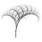 /cfdg/l-systems/.png