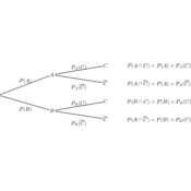 /probabilites/probas_02/arbre_02.png