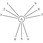 /tutoriel/tree/t10.png
