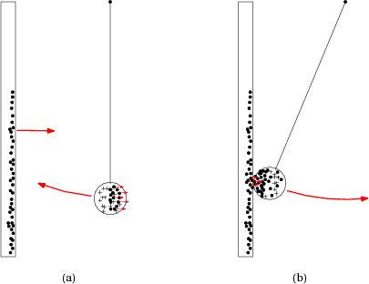 /electromagnetisme/peau-chat-1.png