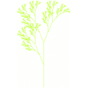 jms/lsystems1/flower1.1