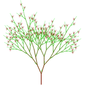 jms/lsystems3/lsys10.1