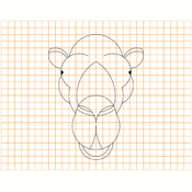 cp/geometriesyr16/animaux/chameau.1