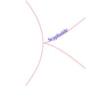 cp/geometriesyr16/courbeshistoriques/scyphoide.1