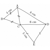 cp/geometriesyr16/levee/figure012.1