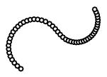 /syracuse/texpng/jpv/guide_jps/parampath.jpg