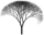 Fichier png