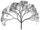 Fichier png