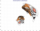 Fichier png